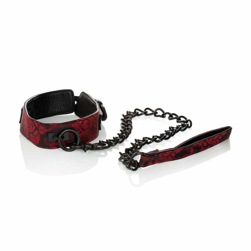 Scandal Collar With Leash - Image 3